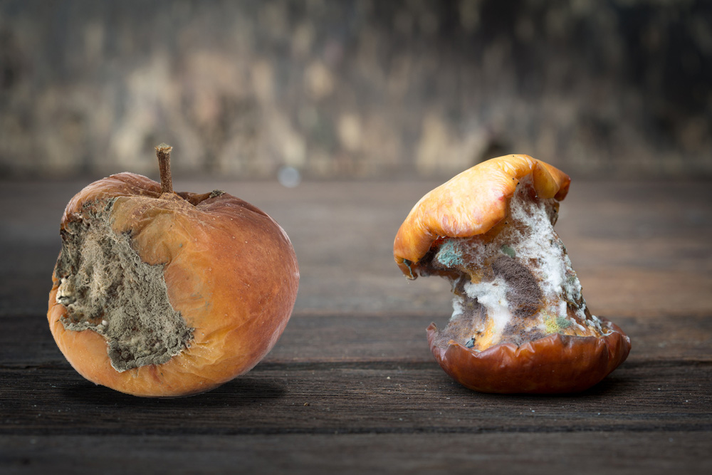 Skin Integrity: Beware the Danger of Pressure ulcers!